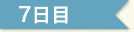 7日目
