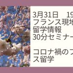 エッフェル塔と桜