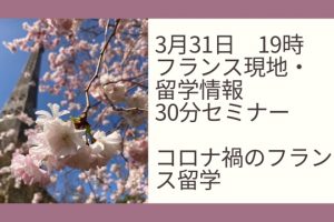 エッフェル塔と桜