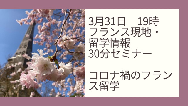 エッフェル塔と桜